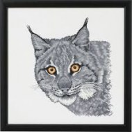 Lynx in Grey 70-4113